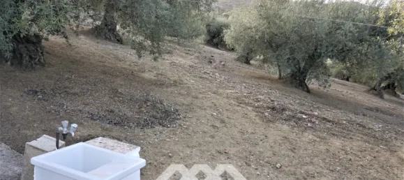 3 chambres Maison à Alcaucin, Spain No. 45173 36