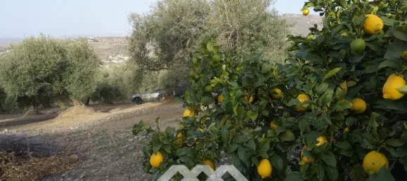 3 chambres Maison à Alcaucin, Spain No. 45173 34