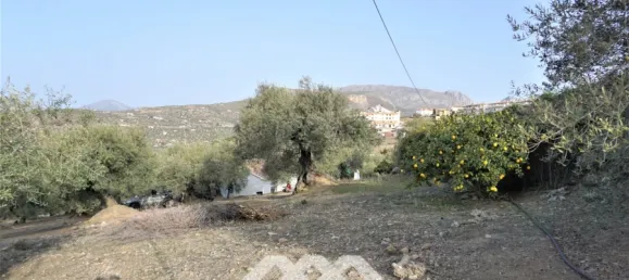 3 chambres Maison à Alcaucin, Spain No. 45173 37