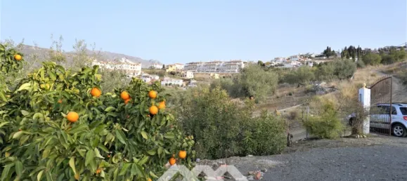 3 chambres Maison à Alcaucin, Spain No. 45173 33