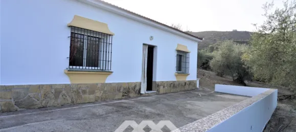 3 chambres Maison à Alcaucin, Spain No. 45173 31