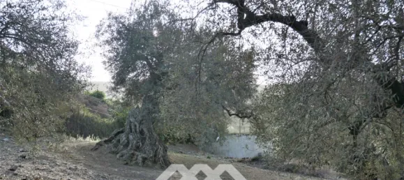 3 chambres Maison à Alcaucin, Spain No. 45173 26