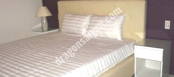 30m² Apartment in District 1, Vietnam No. 10879 2