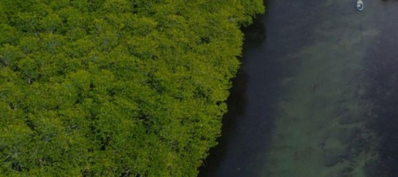 5535m² Land in Al Zorah, UAE No. 104843 19