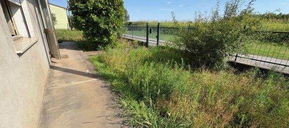 8 rooms House in Castelbaldo, Italy No. 280056 19