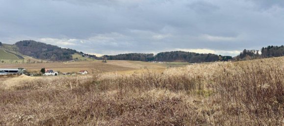 Terrain à Leibnitz, Austria No. 145938 5
