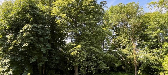 Дом с 3 спальнями в Бру, Франция № 99307 8