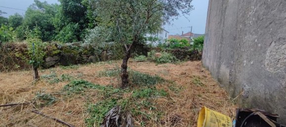 4 bedrooms House in Nave, Portugal No. 20820 12