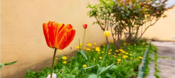 Villa de 6 habitaciónes en Moncalieri, Italy No. 136374 4