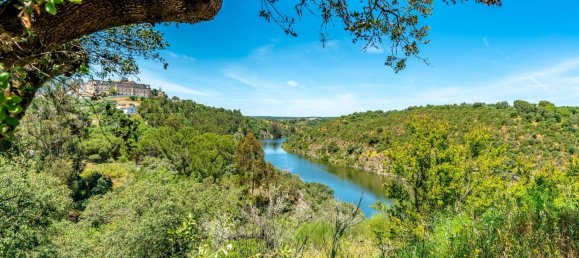 8 غرف نوم منزل في Avis, Portugal رقم 144051 50