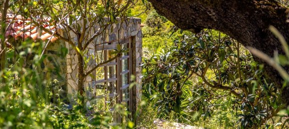 8 غرف نوم منزل في Avis, Portugal رقم 144051 49