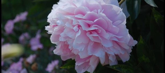 7 Schlafzimmer Villa in Sassello, Italy, Nr. 344318 36