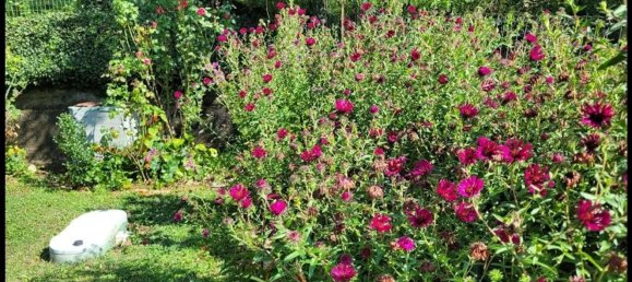 7 Schlafzimmer Villa in Sassello, Italy, Nr. 344318 48