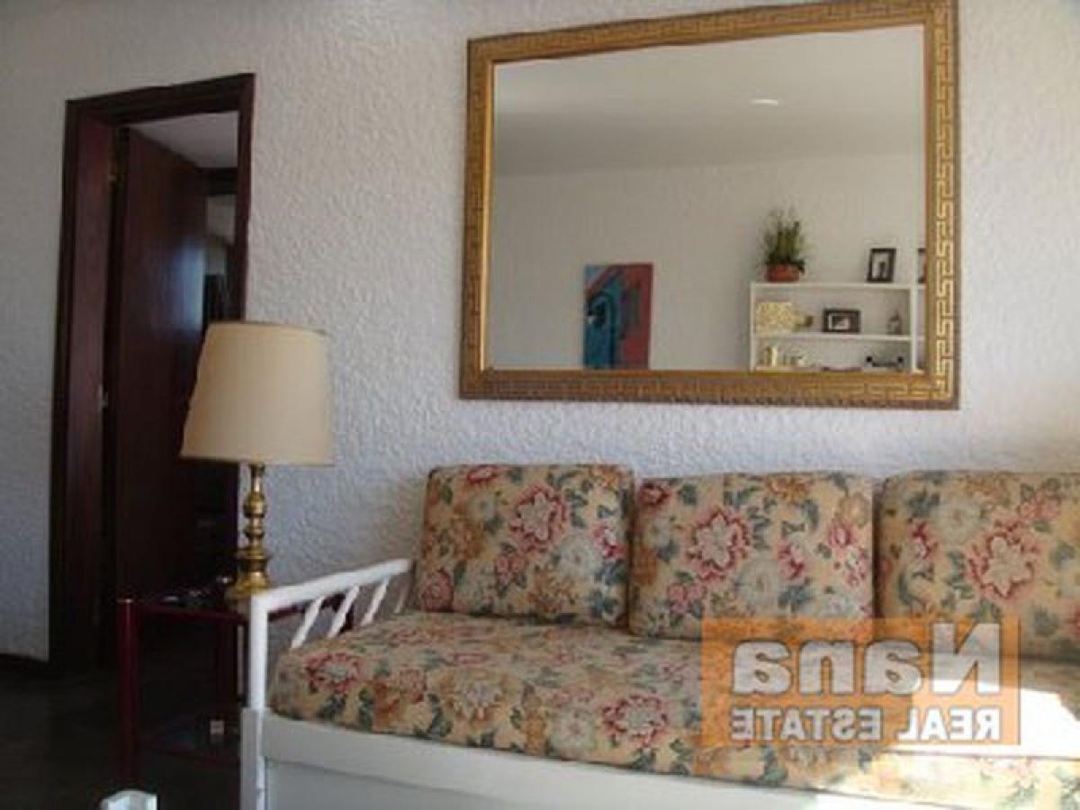 Студия в Мальдонадо, Уругвай № 12109