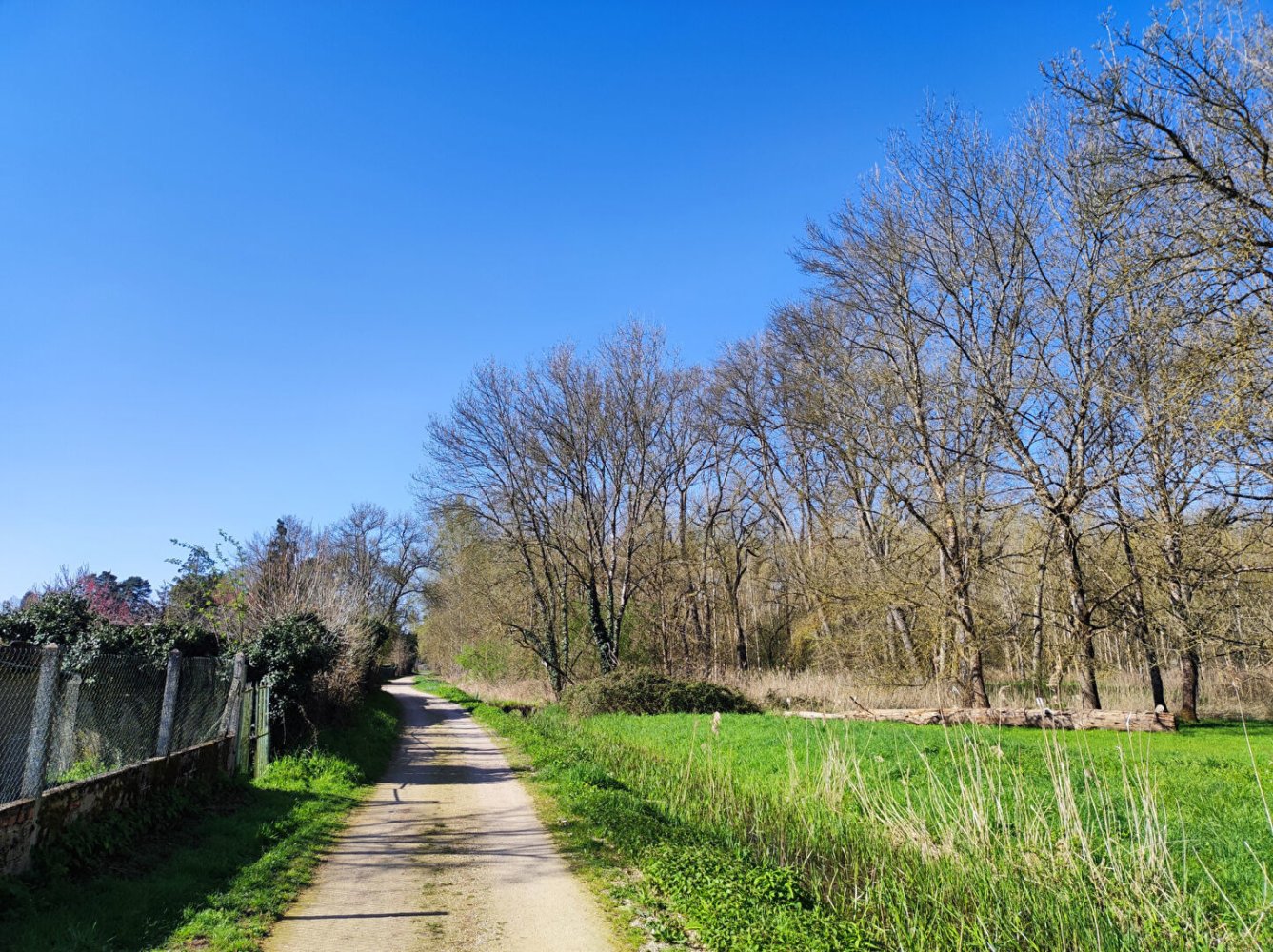  Land in Monts, France No. 64522