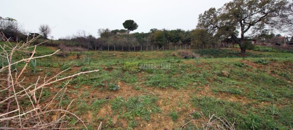Grundstück in Cerveteri, Italy 4000m², Nr. 176642 7