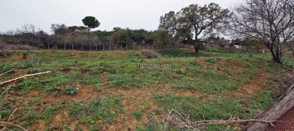 Grundstück in Cerveteri, Italy 4000m², Nr. 176642 3