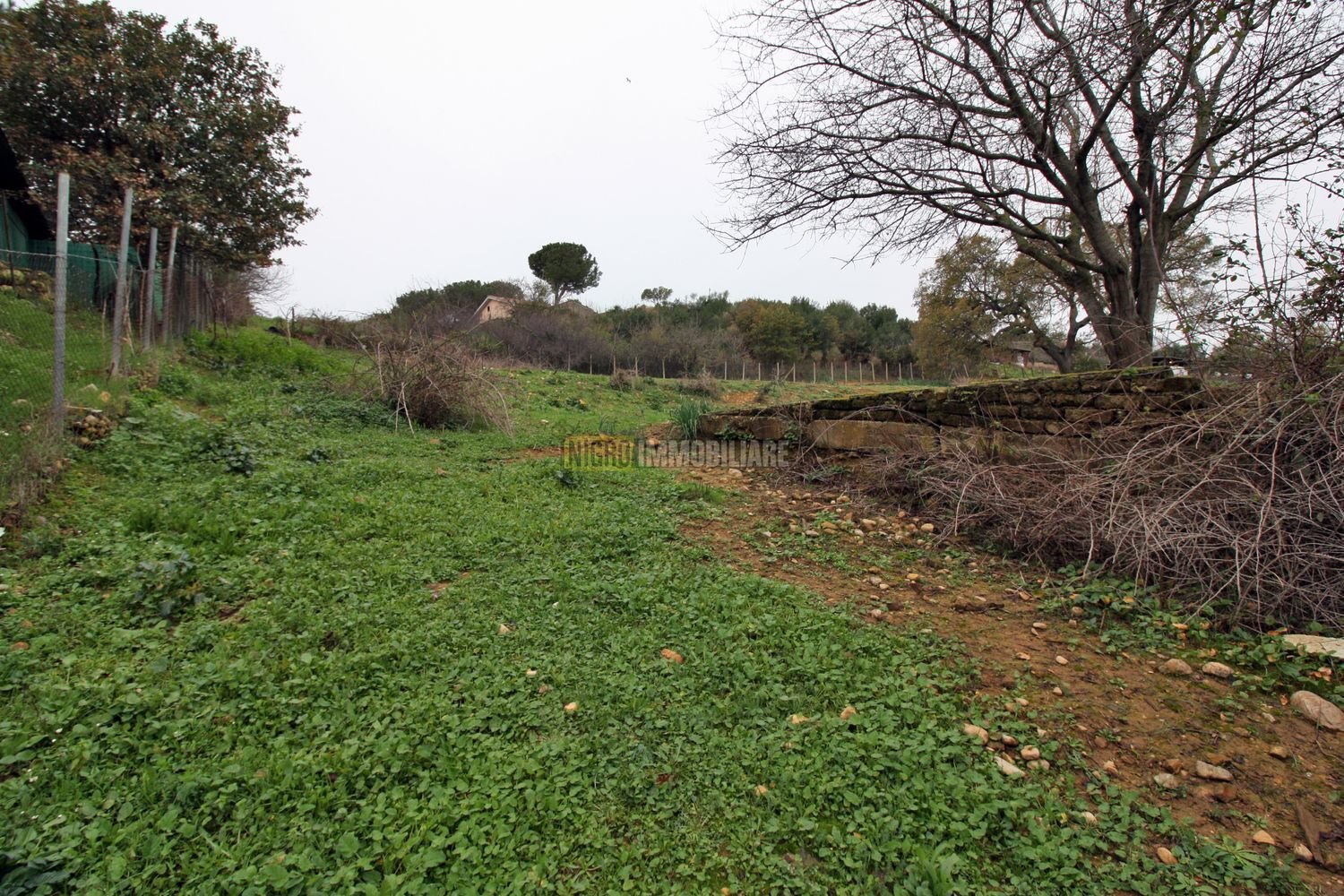 Grundstück in Cerveteri, Italy 4000m², Nr. 176642