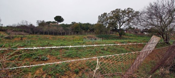 Grundstück in Cerveteri, Italy 4000m², Nr. 176642 5