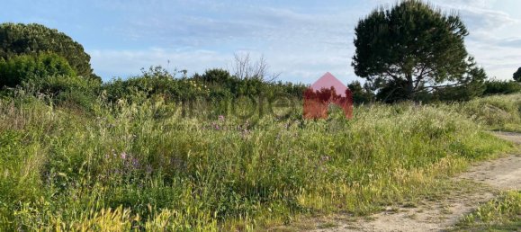 Земельный участок 1500м² в Тарквиния, Италия № 90695 12