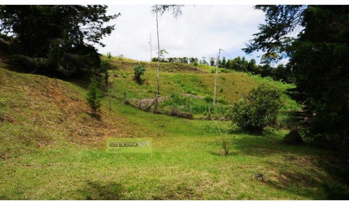  قطعة أرض في Antioquia, Colombia رقم 290