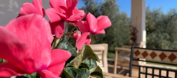 5 bedrooms Villa in Isola del Liri, Italy No. 57800 18