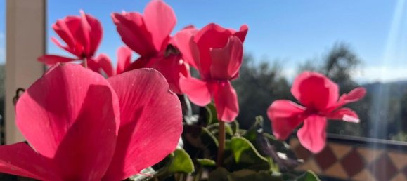 5 bedrooms Villa in Isola del Liri, Italy No. 57800 22