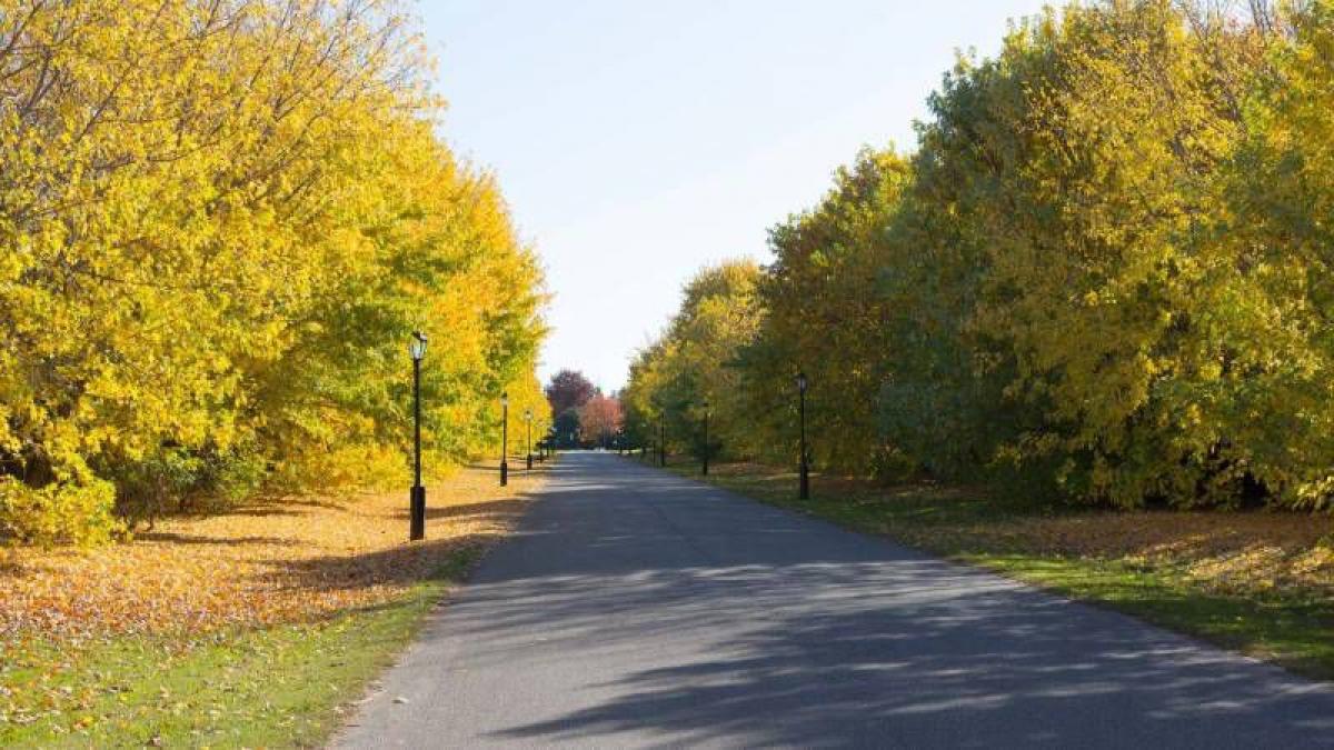 Grundstück in Berazategui, Argentina, Nr. 31023