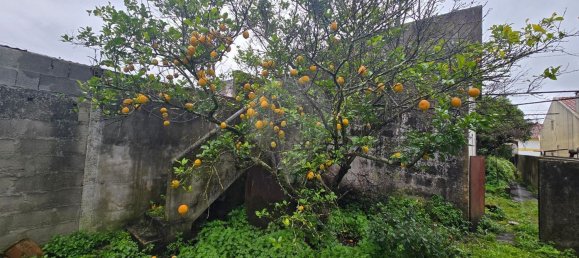 3 غرف نوم منزل في Tramagal, Portugal رقم 201729 14