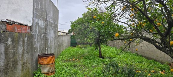 3 غرف نوم منزل في Tramagal, Portugal رقم 201729 13