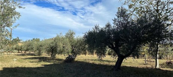 Дом с 4 комнатами в Эличе, Италия № 56796 8