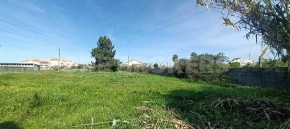 Grundstück in Ervidel, Portugal 6731m², Nr. 76114 2