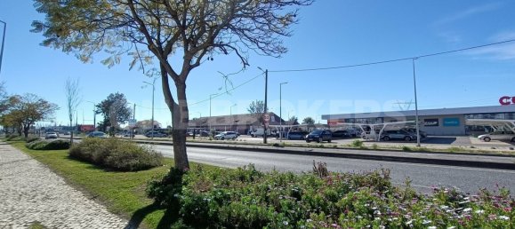 Grundstück in Ervidel, Portugal 6731m², Nr. 76114 17