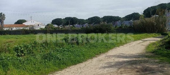 Grundstück in Ervidel, Portugal 6731m², Nr. 76114 9