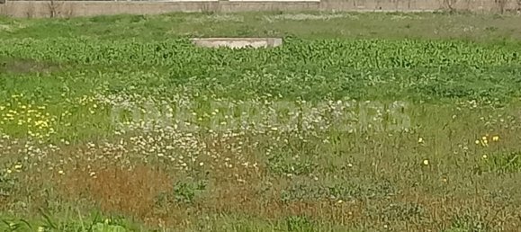 Grundstück in Ervidel, Portugal 6731m², Nr. 76114 12