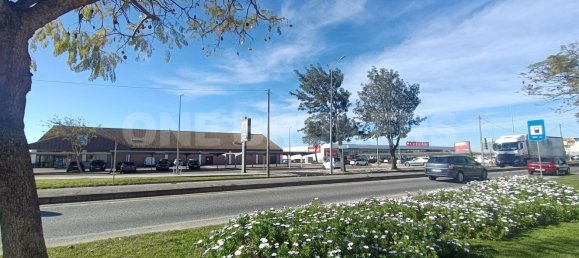 Grundstück in Ervidel, Portugal 6731m², Nr. 76114 14