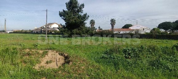 Grundstück in Ervidel, Portugal 6731m², Nr. 76114 7