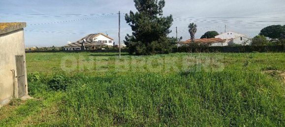 Grundstück in Ervidel, Portugal 6731m², Nr. 76114 6