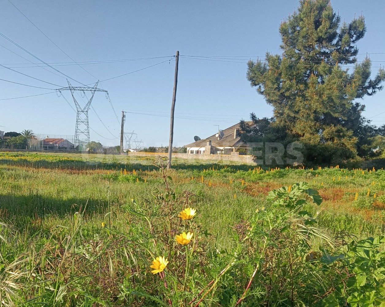 Grundstück in Ervidel, Portugal 6731m², Nr. 76114