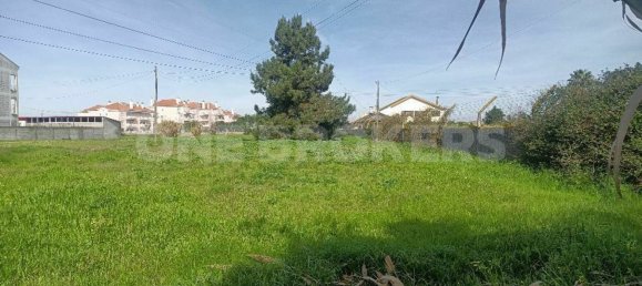 Grundstück in Ervidel, Portugal 6731m², Nr. 76114 10