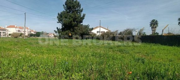 Grundstück in Ervidel, Portugal 6731m², Nr. 76114 11