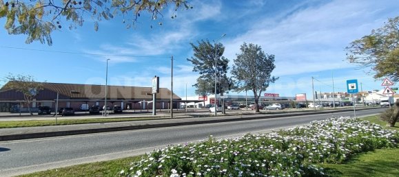 Grundstück in Ervidel, Portugal 6731m², Nr. 76114 15