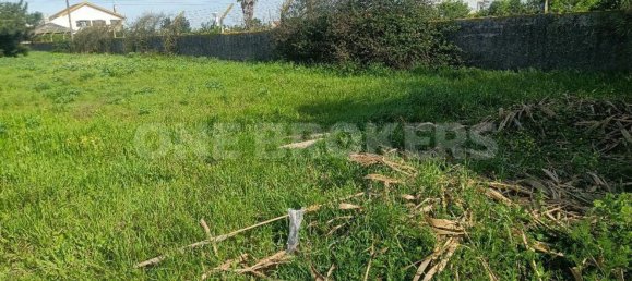 Grundstück in Ervidel, Portugal 6731m², Nr. 76114 4