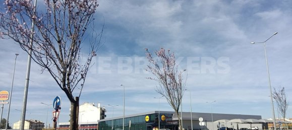 Grundstück in Ervidel, Portugal 6731m², Nr. 76114 18