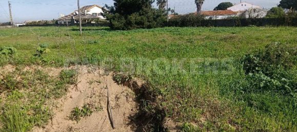 Grundstück in Ervidel, Portugal 6731m², Nr. 76114 8