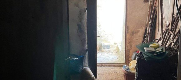 Propiedad comercial en Markt Neuhodis, Austria 40 m² No. 231205 5