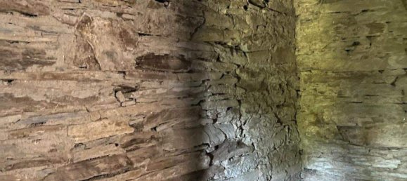 Propiedad comercial en Markt Neuhodis, Austria 40 m² No. 231205 6