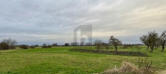 Grundstück in Mecklenburg-Vorpommern, Germany 3466m², Nr. 219738 2