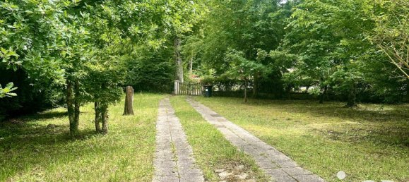 2 bedrooms House in Bazoches-sur-le-Betz, France No. 270680 7