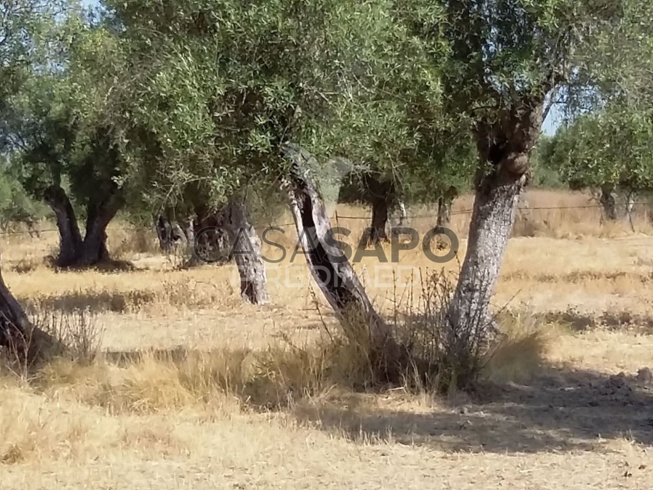  Land in Torrao, Portugal No. 349360